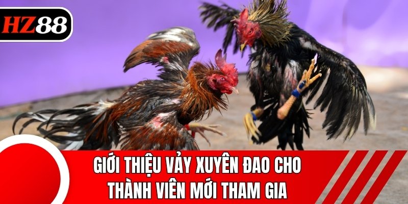 Giới thiệu vảy xuyên đao cho thành viên mới tham gia
