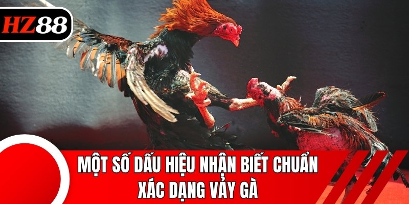 Một số dấu hiệu nhận biết chuẩn xác dạng vảy gà